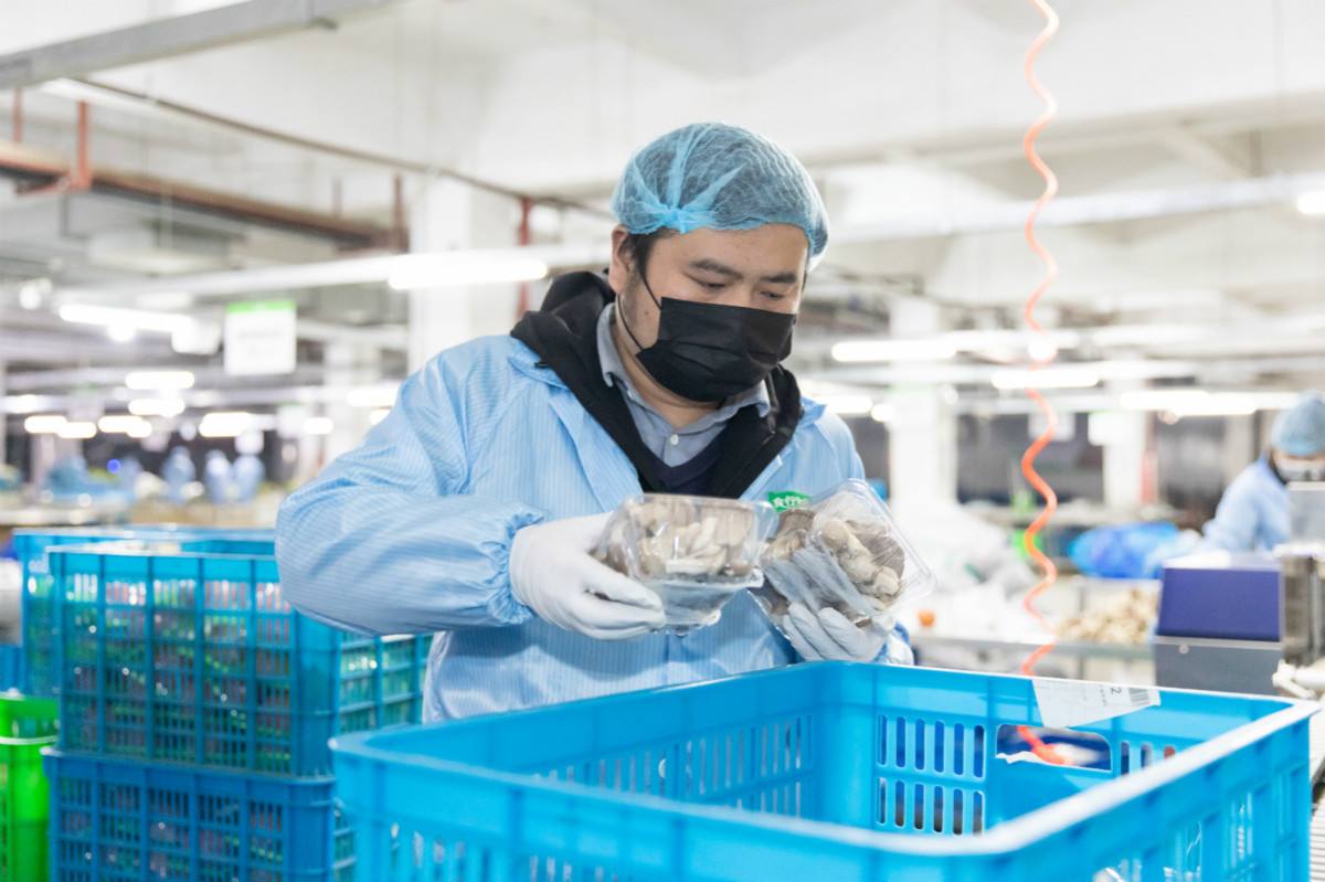 深圳到香港物流,深圳到香港物流專線 深圳到香港物流,深圳到香港物流專線